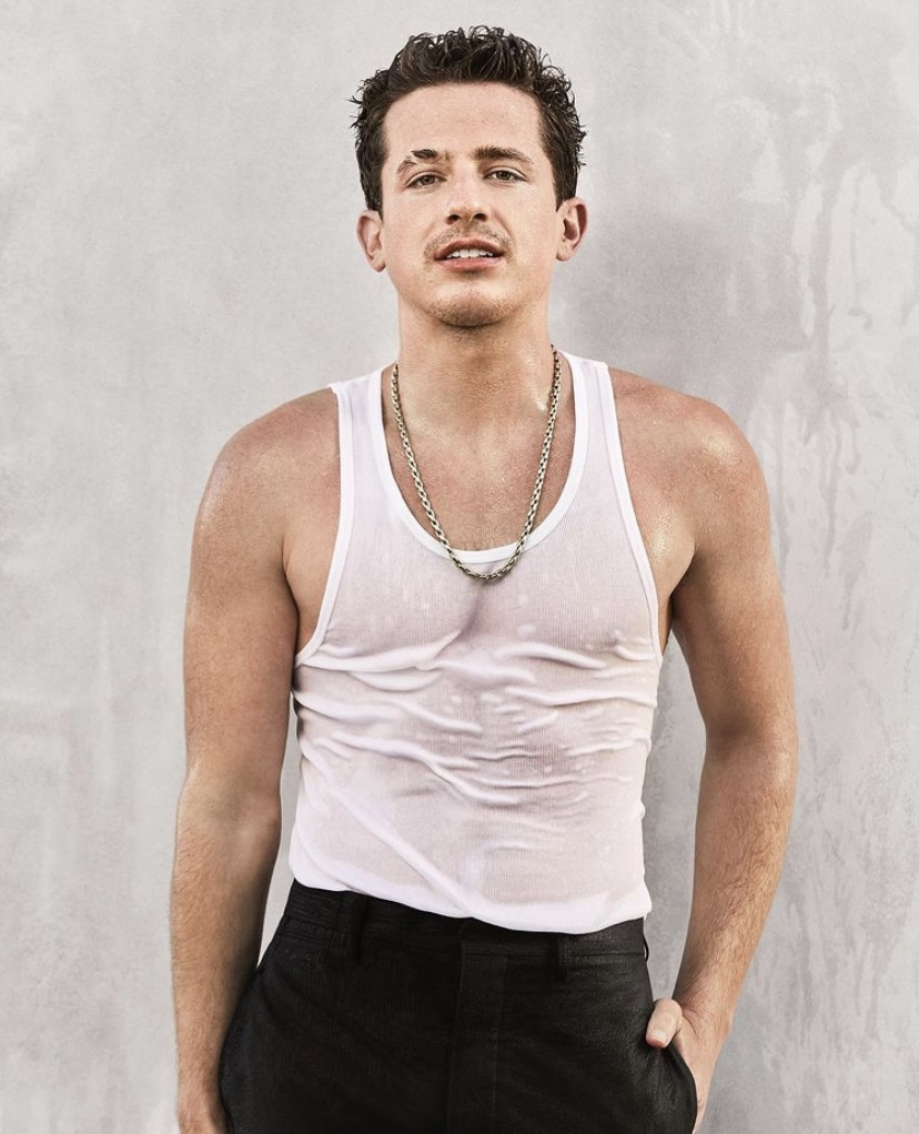 Times Charlie Puth Was A Total Charmer Home