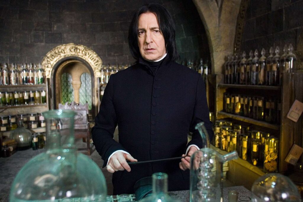 Why Was Snape the Half-Blood Prince 