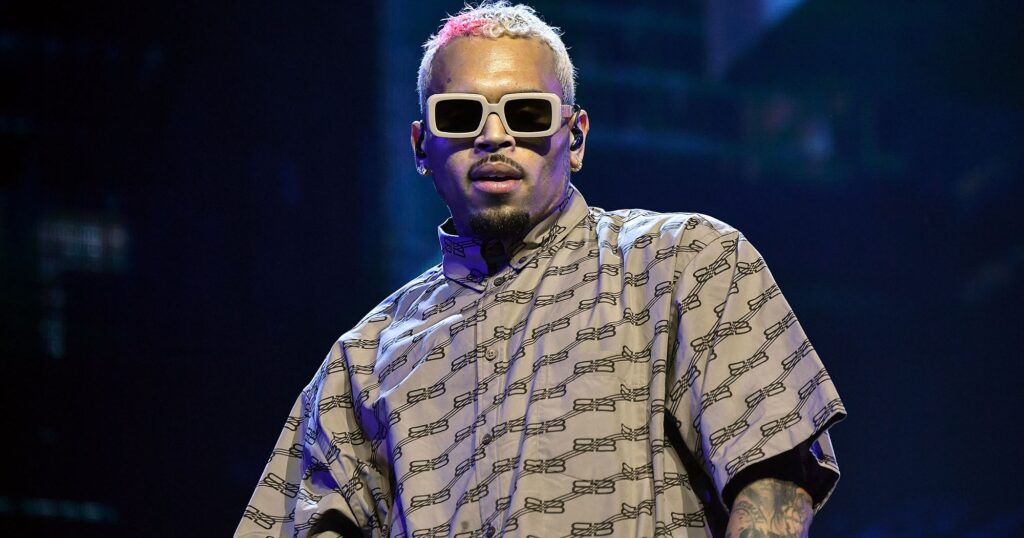 Chris Brown Assault Texas Concert