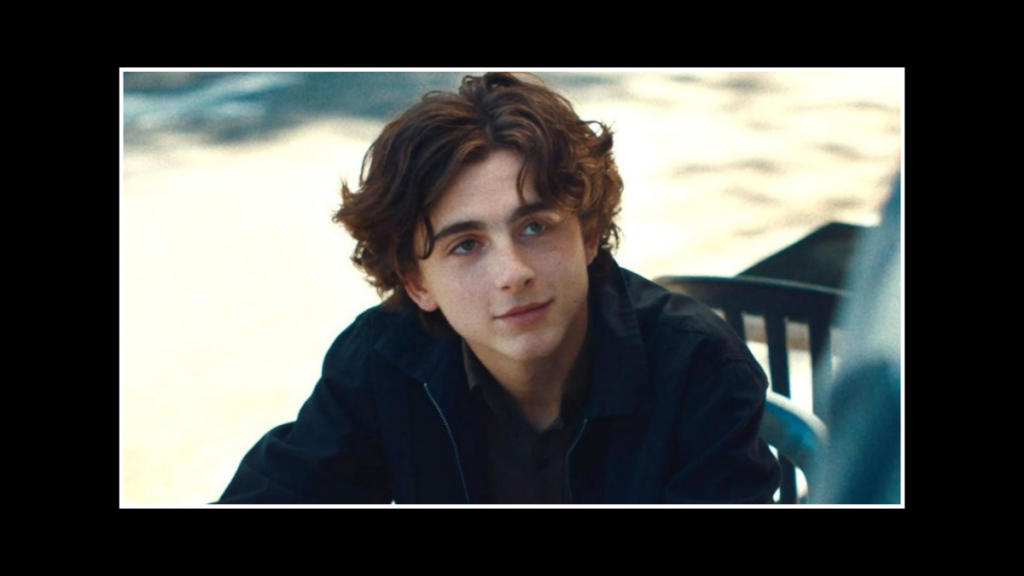 Parasocial Relationships--Timothee Chalamet