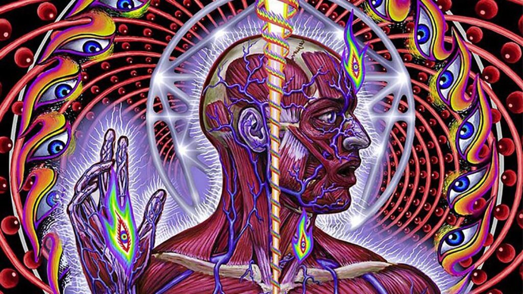 The album ‘Lateralus’ by the band Tool