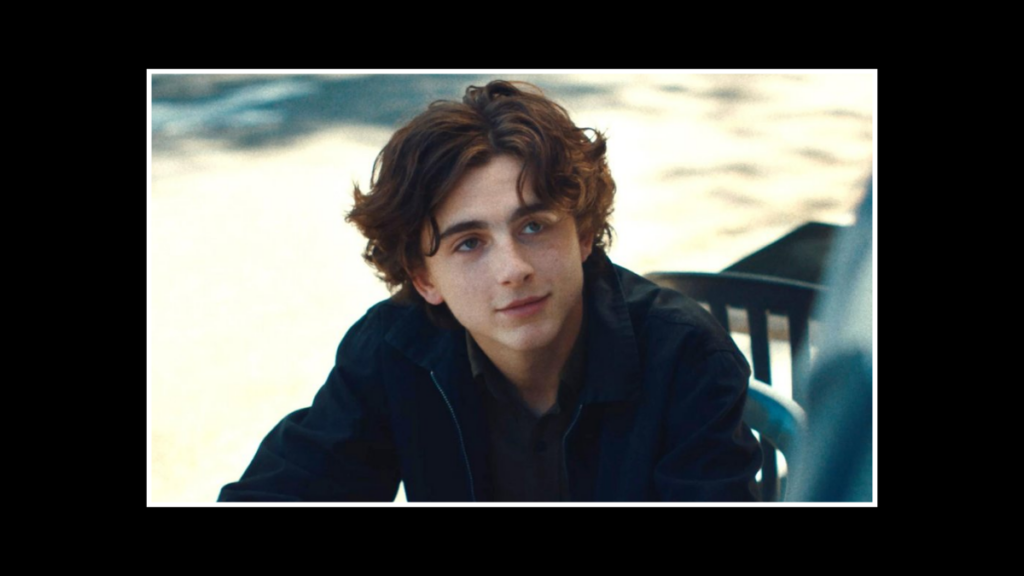 Timothee Chalamet