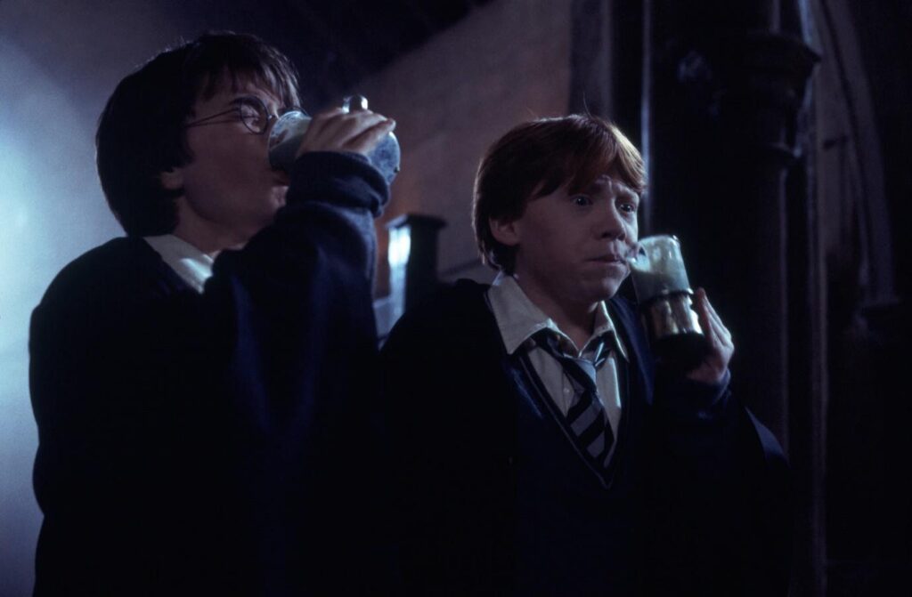 Harry Potter and Ron Weasley trying the polyjuice potion