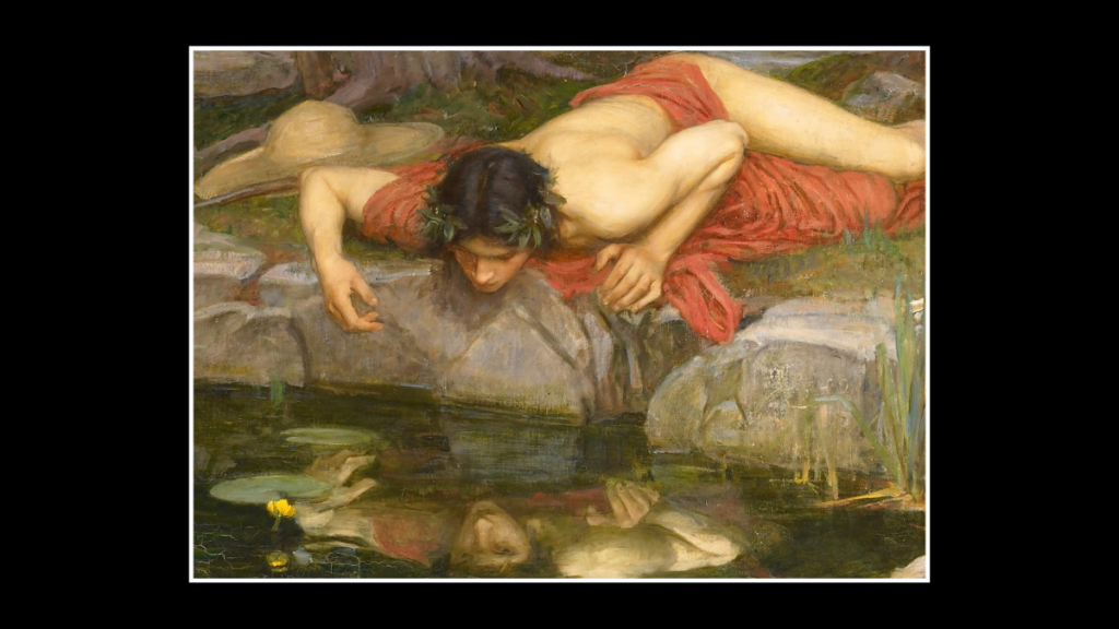 Narcissus